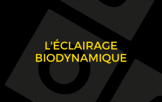 L'éclairage biodynamique - Visual Timing Light 3